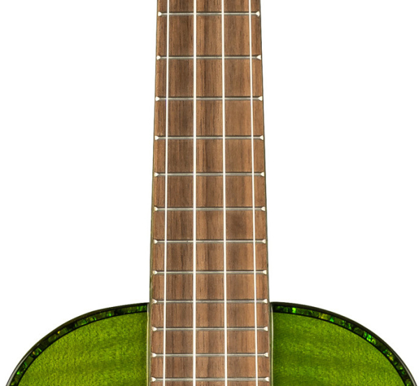 Ortega RUPR-IVY